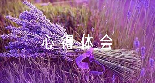 哪里可以找到篮球训练的模范案例_2
